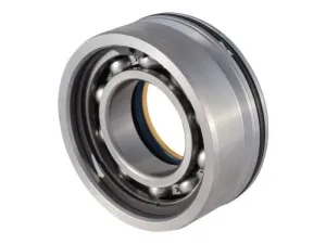 Dana Bilya Yatağı Akis Çanağı