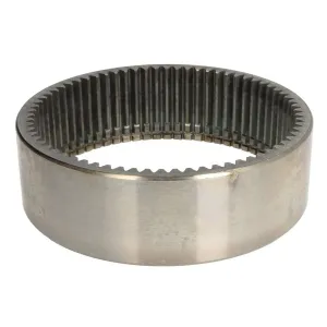 DANA SPİCER ÇEMBER DİŞLİ